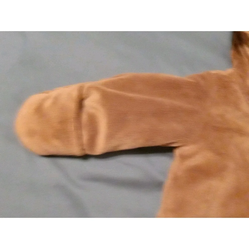 Carter's Baby Just One You Plush Brown Bear Hooded Snuggle Snow Suit 3 Months
